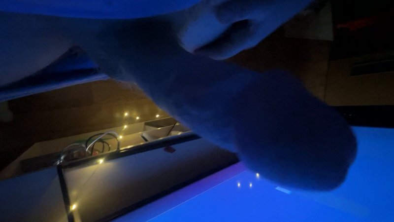 two cocks in hot ass bonde