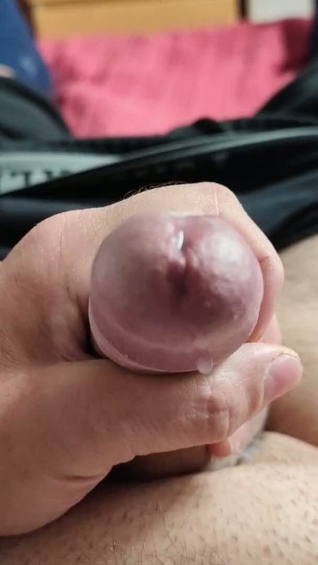 pic dick