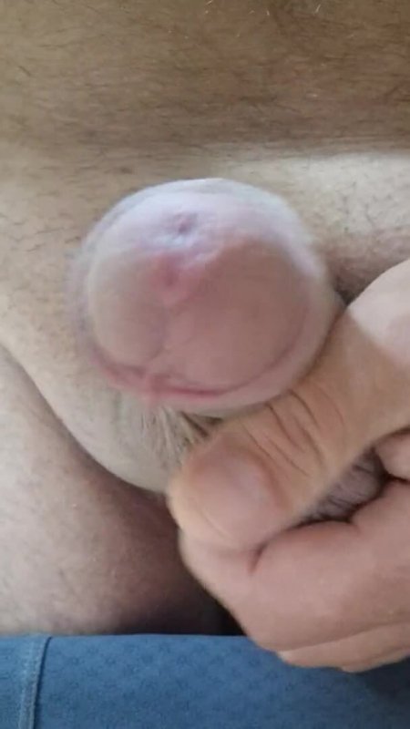 new young tit pics