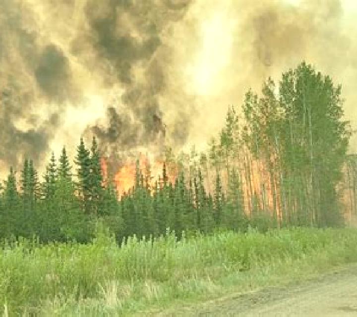 Kai Merphy model portrait